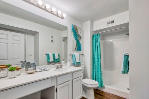 Three Bedroom Apartments in Knoxville, TN - Large Guest Bathroom with Walk-In Shower  