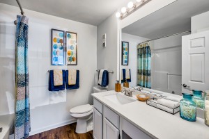 Three Bedroom Apartments in Knoxville, TN - Main Bathroom with Radius Shower Curtain and Extended Counter  